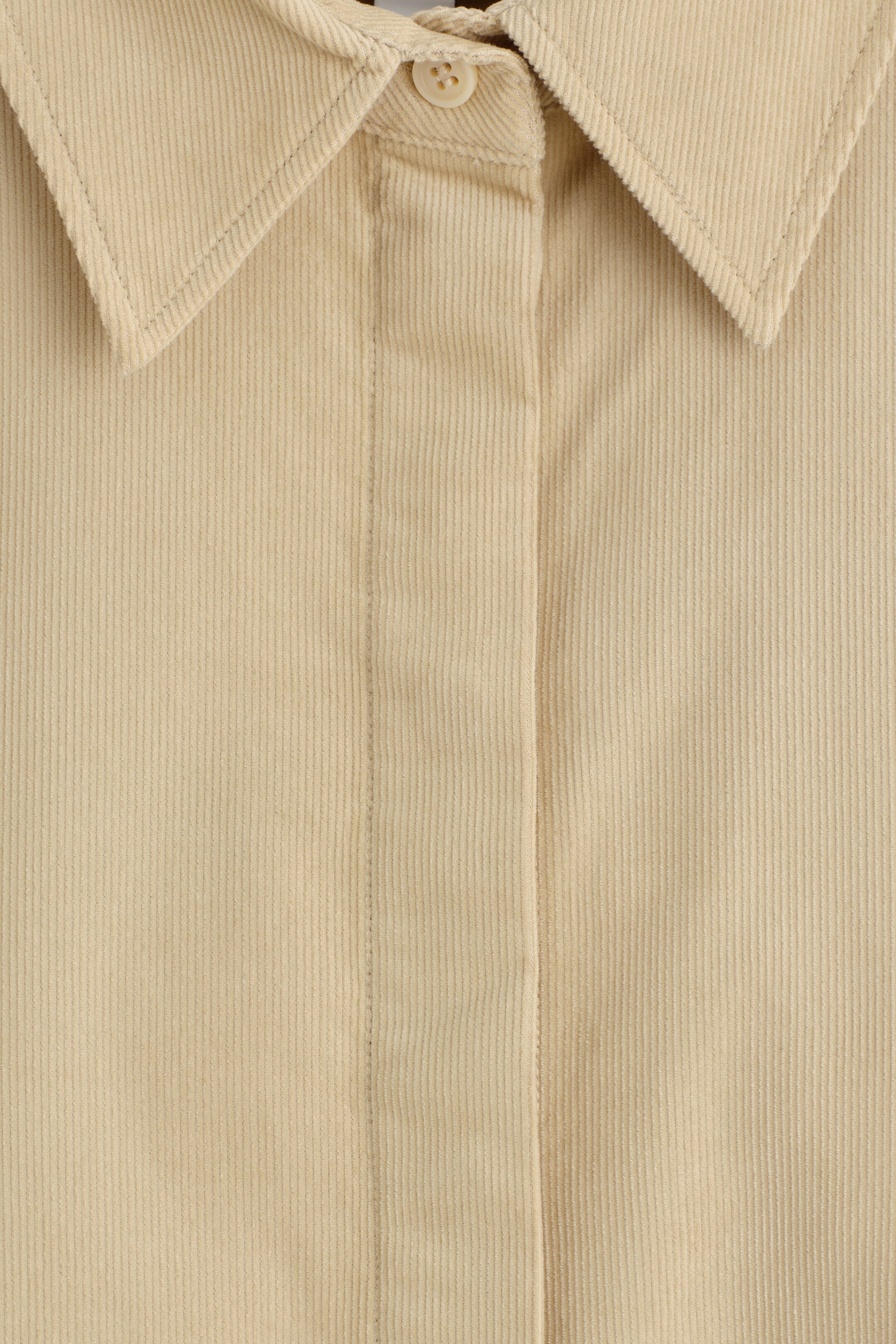 Agrandir l'image: Une chemise en velours côtelé beige est présentée de face, mettant en valeur un col pointu et une patte de boutonnage dissimulée. Les côtes verticales caractéristiques du tissu en velours côtelé de la chemise sont clairement visibles.