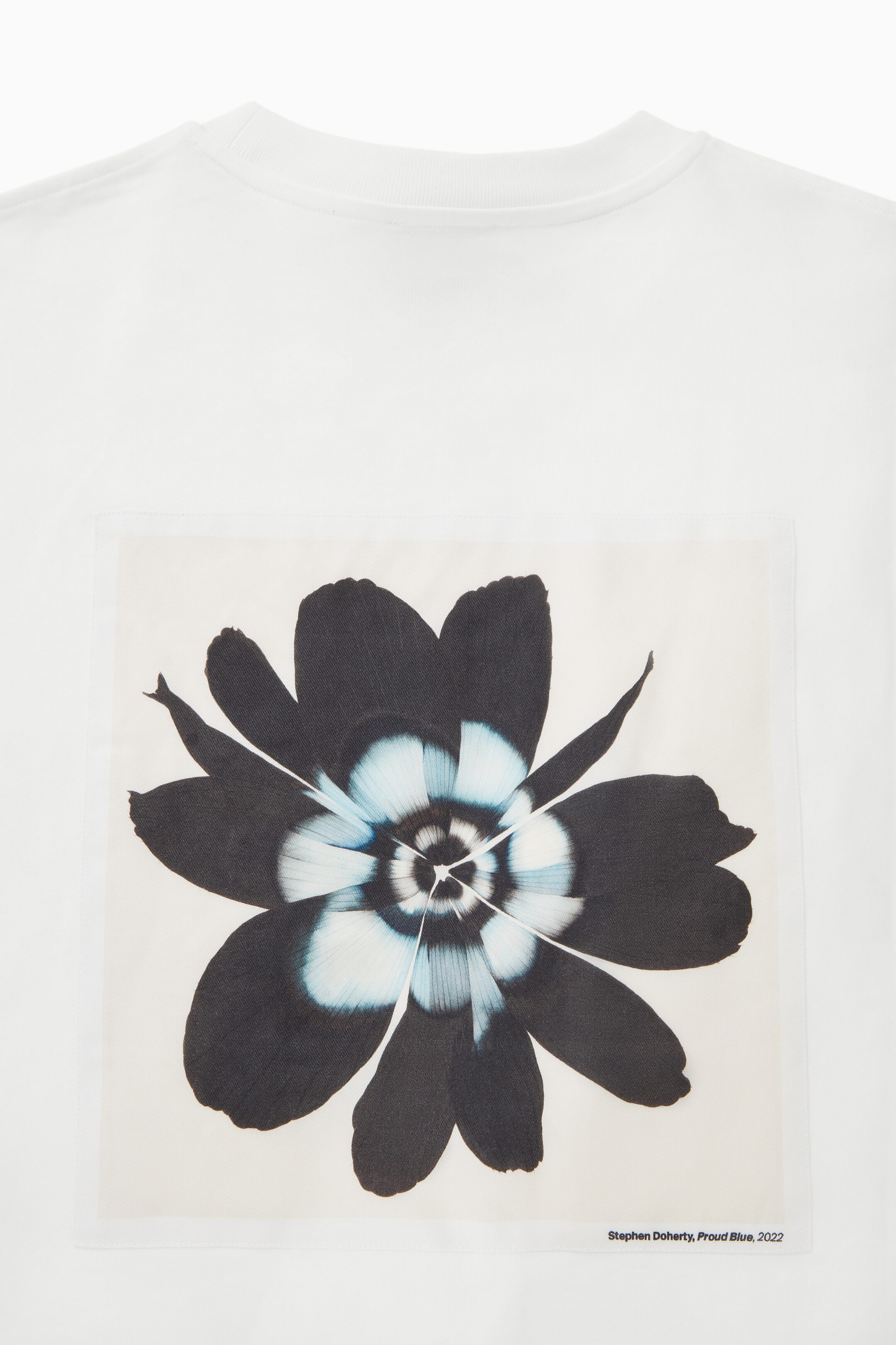 StillMedia/DescriptiveDetail