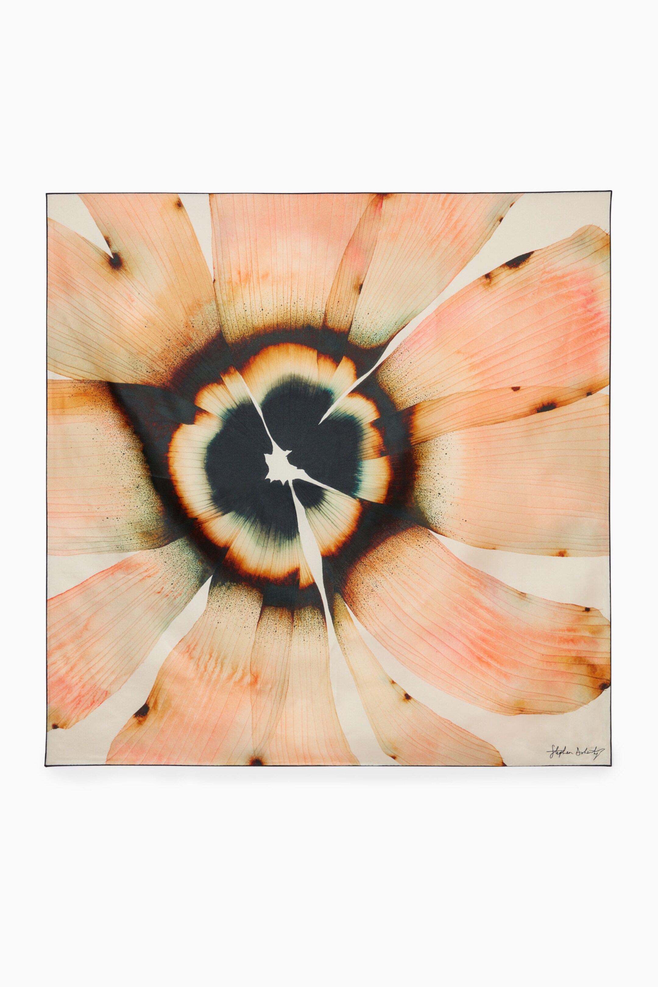 StillMedia/DescriptiveStillLife