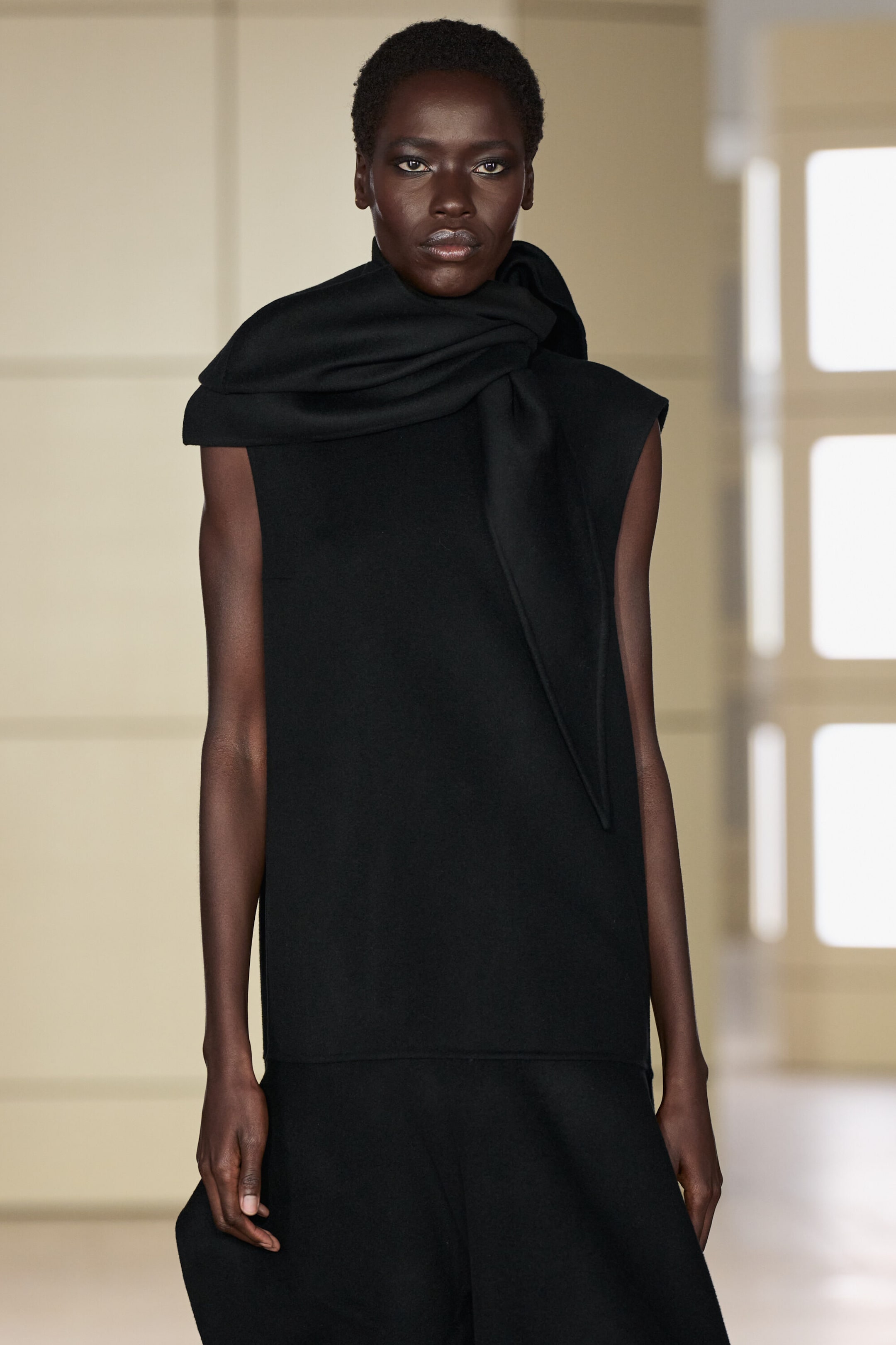 The dropped-waist double-faced wool dress is shown from the front, featuring a sleeveless, structured silhouette with a high scarf collar wrapping around the neck and draping down the bodice. The straight-cut bodice extends to a low dropped-waist seam that meets a subtly flared skirt. The dropped-waist double-faced wool dress is shown from the front, featuring a sleeveless, structured silhouette with a high scarf collar wrapping around the neck and draping down the bodice. The straight-cut bodice extends to a low dropped-waist seam that meets a subtly flared skirt.