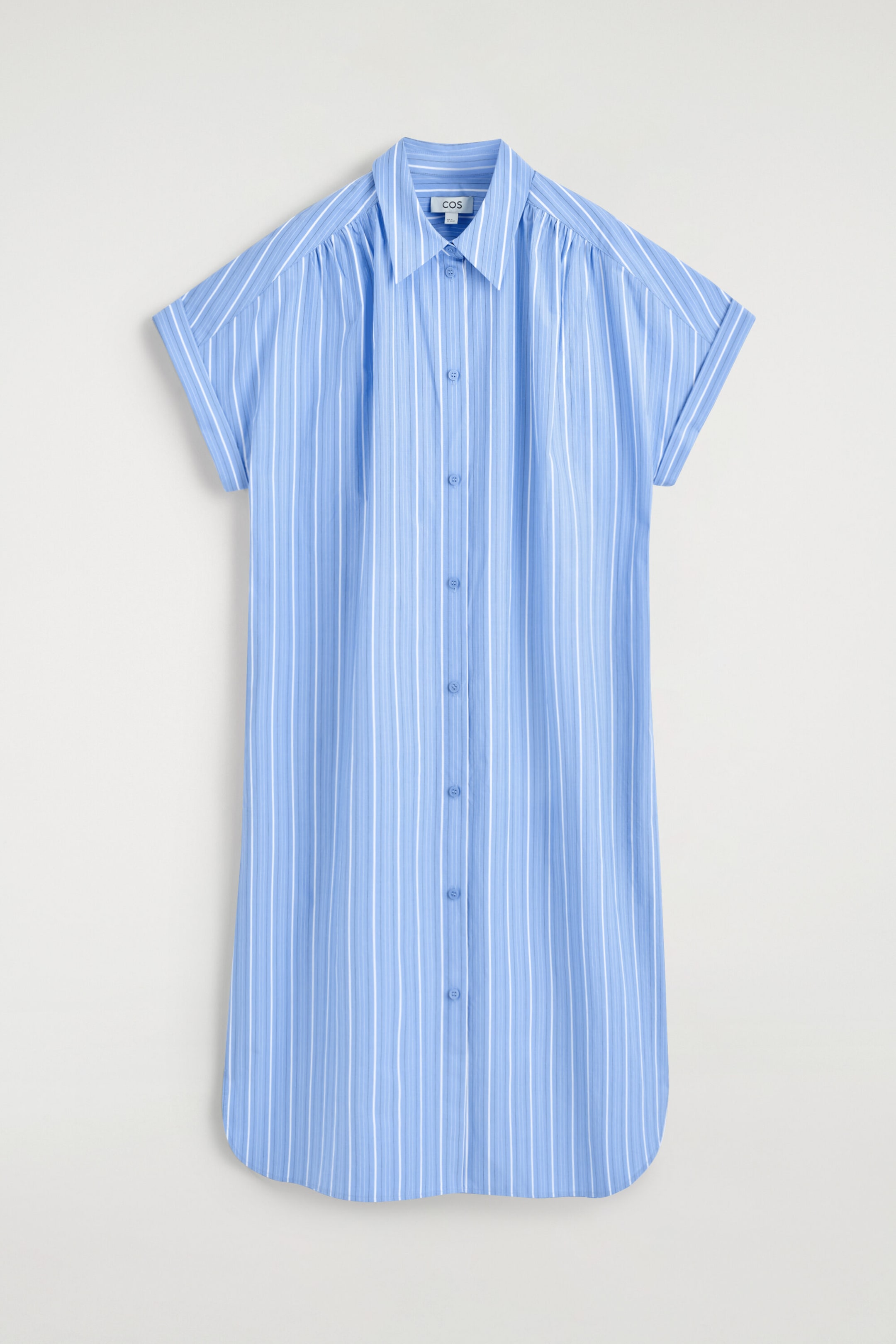 StillMedia/DescriptiveStillLife