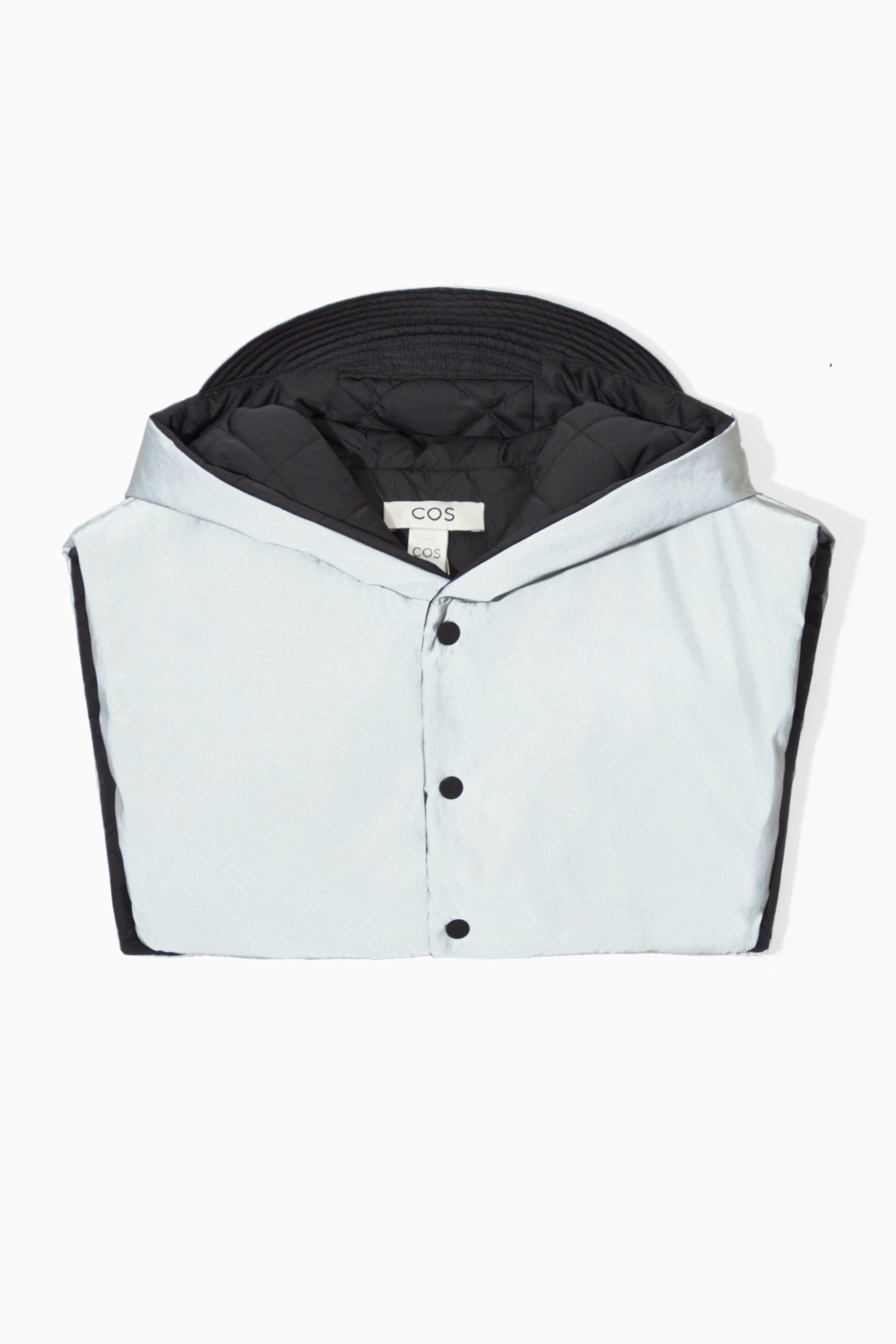 StillMedia/DescriptiveStillLife