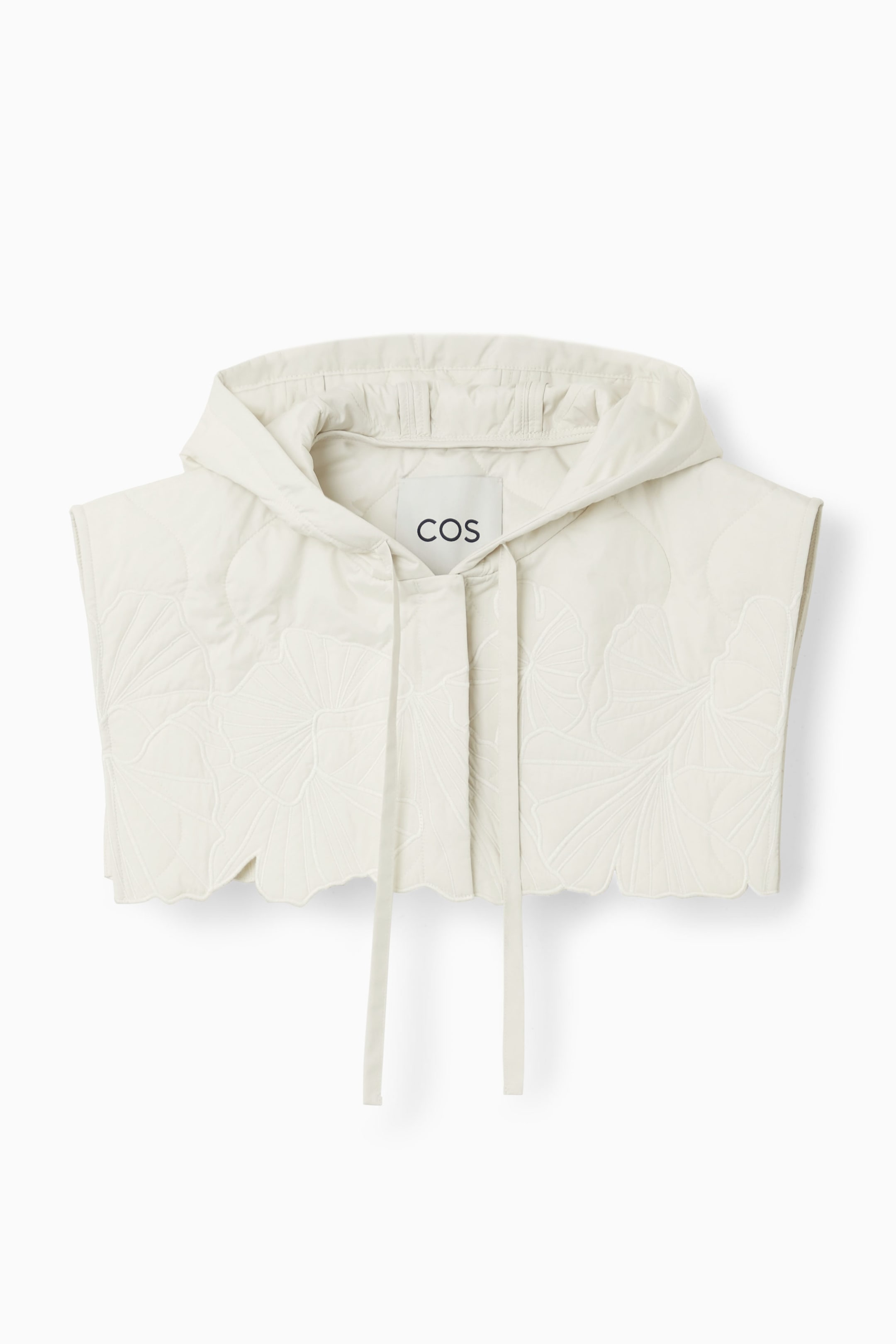 StillMedia/DescriptiveStillLife