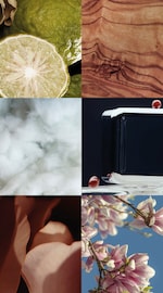 COS PERFUMERY EAU DE PARFUM 100ML