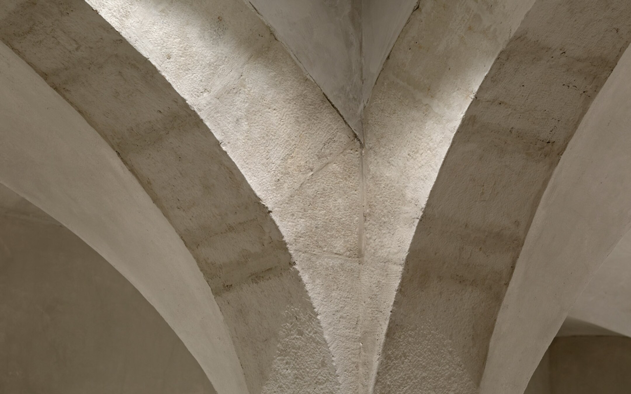 Lyon store ceiling