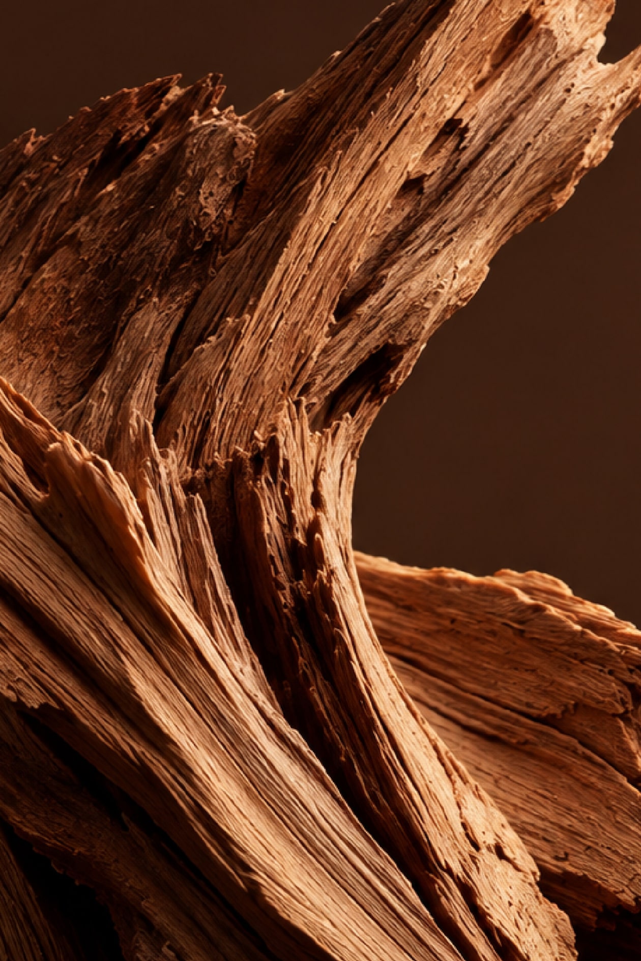 Close-up of textured, weathered wood with intricate lines and grooves, set against a dark brown background.