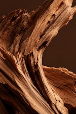 Placeholder for: Close-up of textured, weathered wood with intricate lines and grooves, set against a dark brown background.