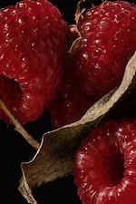 Placeholder for: Close-up of vibrant red raspberries with a textured dry leaf, set against a dark background.