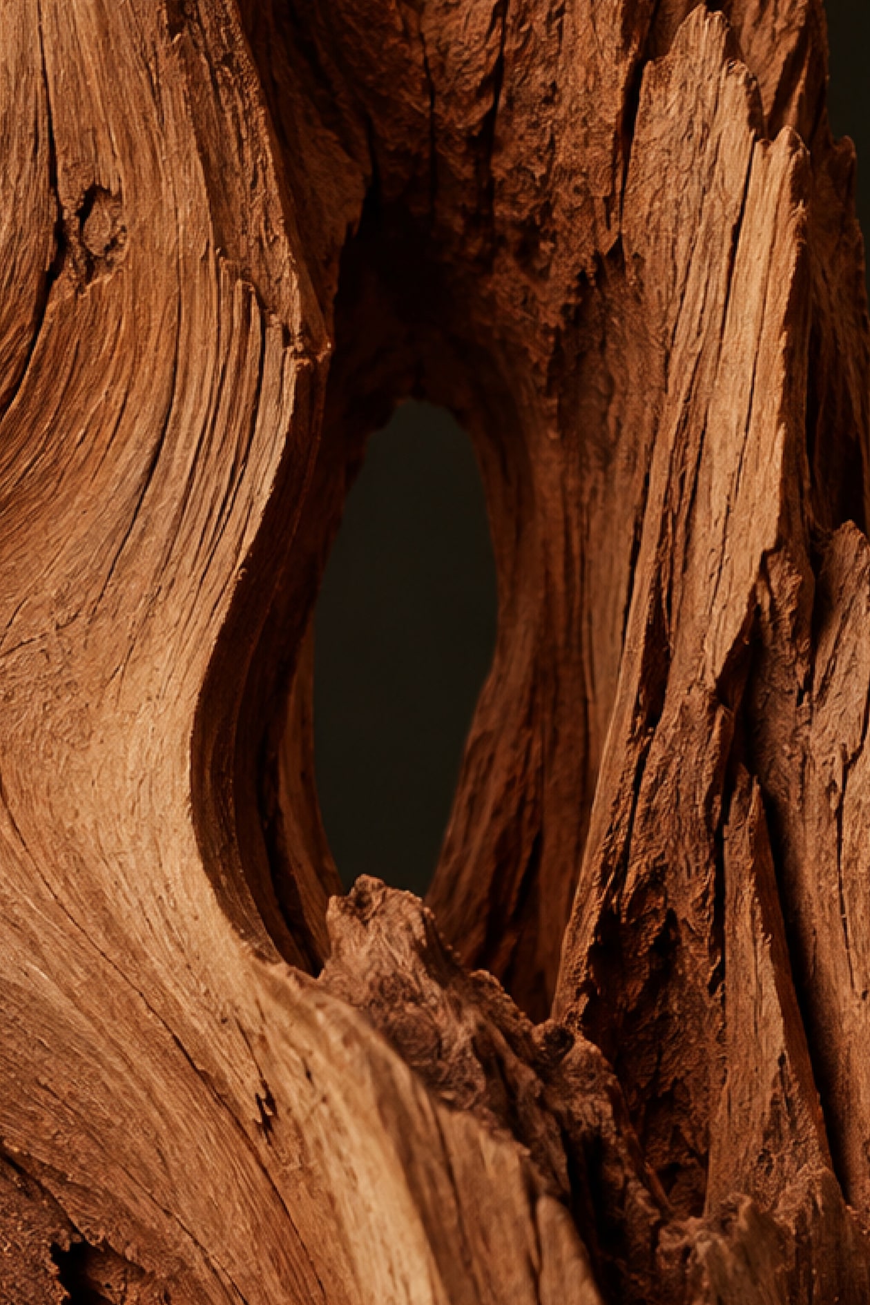 Close-up of textured, weathered wood with a natural hollow and rich, warm brown tones.