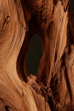 Placeholder for: Close-up of textured, weathered wood with a natural hollow and rich, warm brown tones.