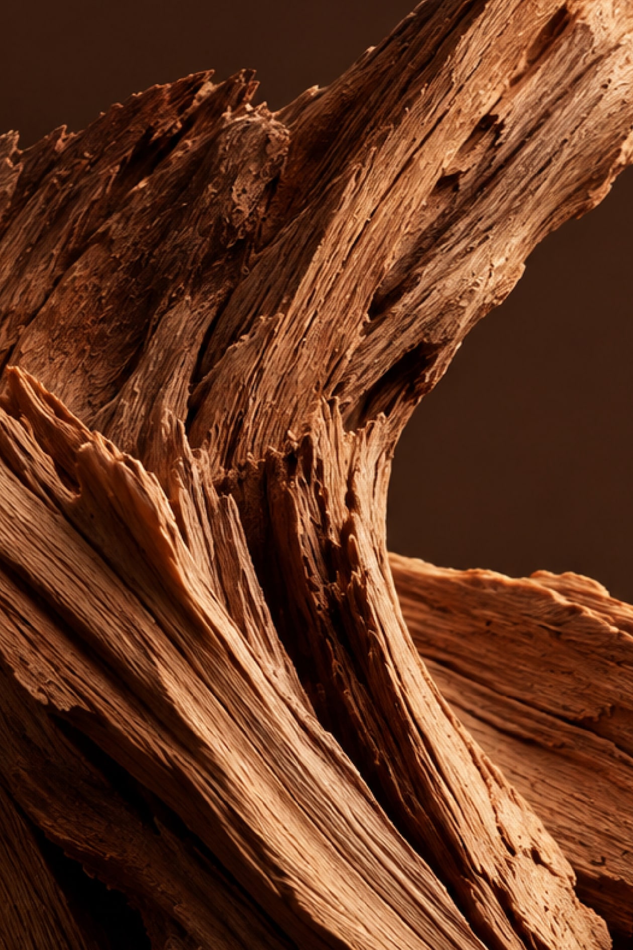 Close-up of textured, aged wood with rich brown tones and intricate grain patterns, set against a dark background.