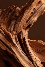 Placeholder for: Close-up of textured, aged wood with rich brown tones and intricate grain patterns, set against a dark background.