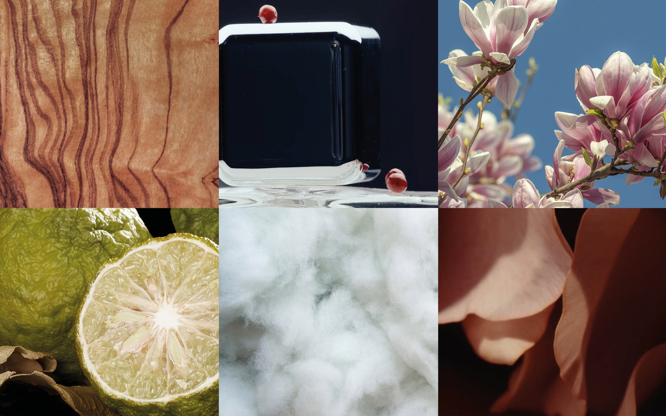 Collage of six images: wood grain, dark object with cherries, magnolia flowers, sliced citrus, fluffy texture, and abstract pink shapes.