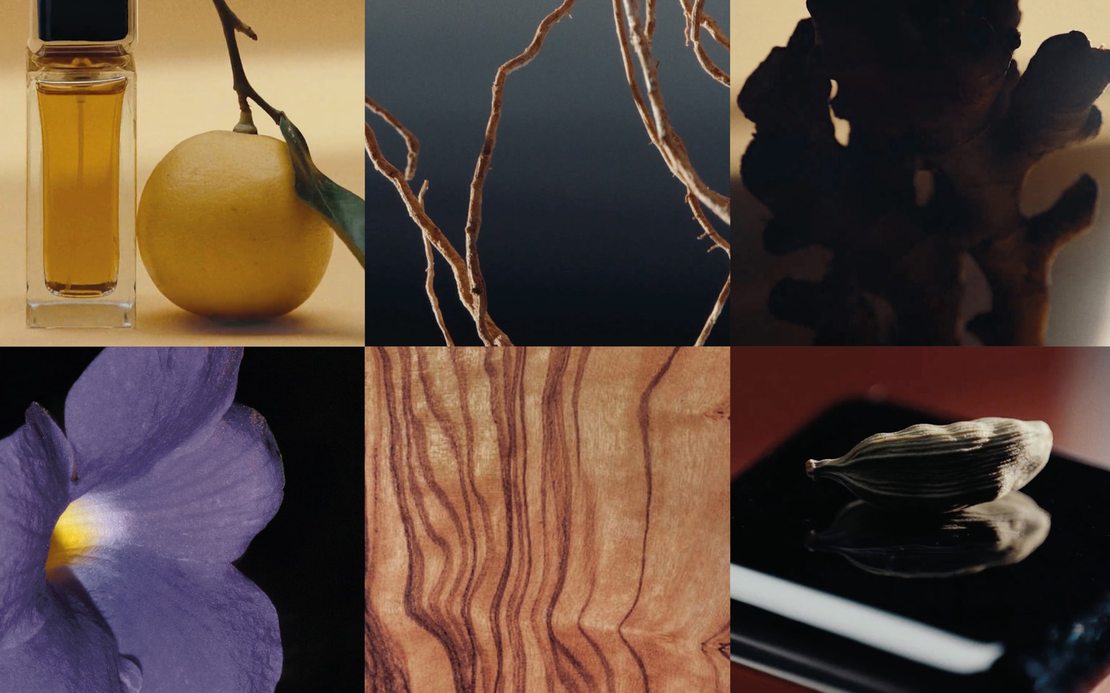 Collage of six images: perfume with lemon, twisted branches, ginger, purple flower, wood grain, and cardamom on a reflective surface.