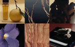 Placeholder for: Collage of six images: perfume with lemon, twisted branches, ginger, purple flower, wood grain, and cardamom on a reflective surface.