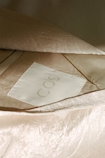 Placeholder for: COS Label on silk garment