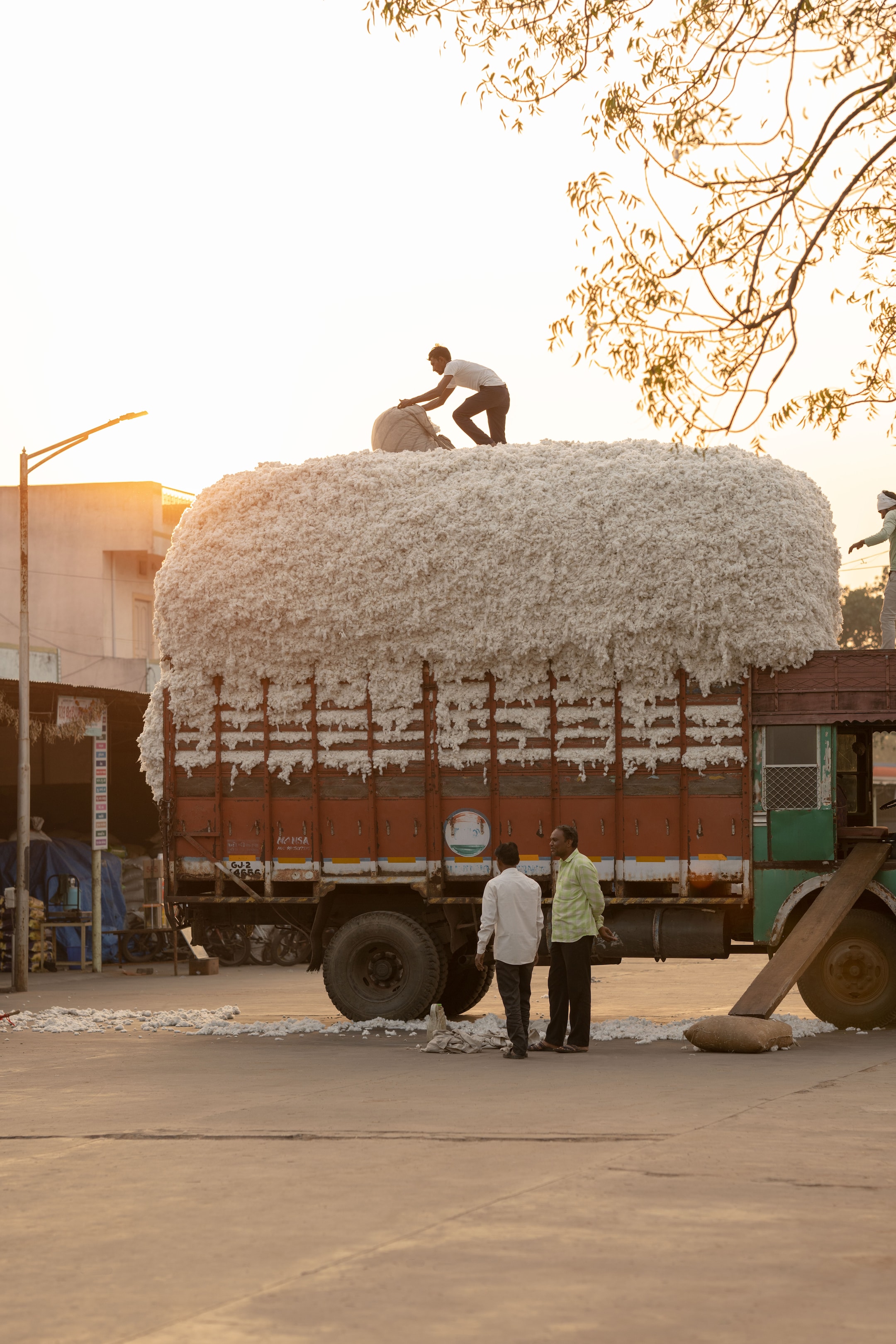 Cotton truck