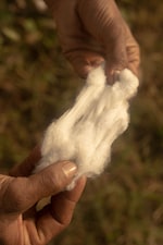 Placeholder for: Person pulling cotton apart
