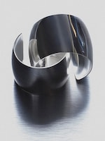 Placeholder for: Two sleek, reflective metallic rings, artistically arranged on a brushed metal surface.
