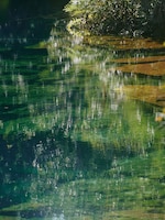 Placeholder for: Sun reflecting on the water with plants at the water's edge
