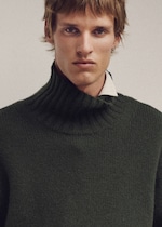 Placeholder for: Person wearing a dark green turtleneck sweater over a white shirt, with short hair, looking directly at the camera against a plain background.