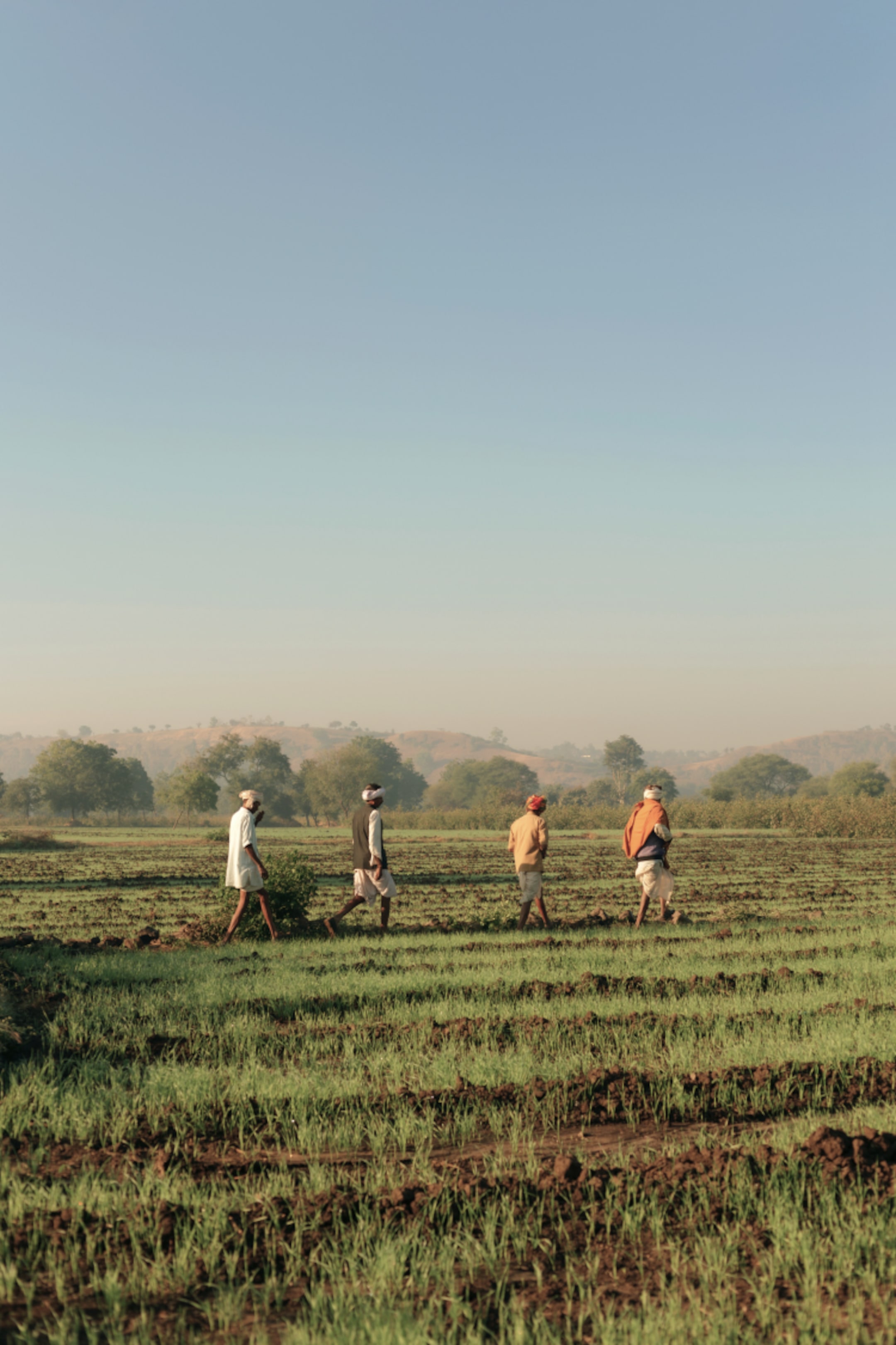 Four people walking across a lush, green field under a clear blue sky, with distant trees and hills in the background.