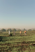 Placeholder for: Four people walking across a lush, green field under a clear blue sky, with distant trees and hills in the background.