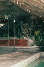 Placeholder for: plants close to seat and glass door