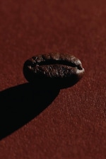 Placeholder for: coffee bean