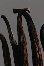 Placeholder for: vanilla